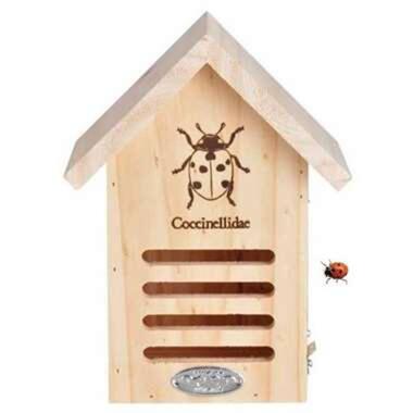 Insectenhotel - voor lievenheersbeestjes - vurenhout - 23 cm product