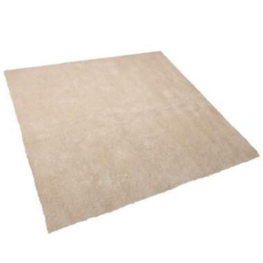 Tapis épais 200 x 200 cm beige clair DEMRE product