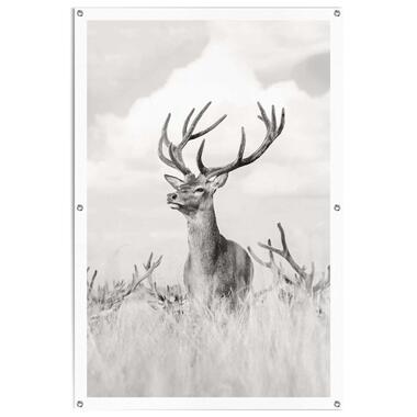 Poster de jardin Un cerf fier 120x80 cm Noir - Blanc Canvas product