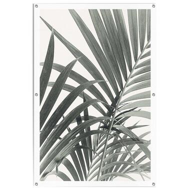 Poster de jardin Feuilles de palmier 120x80 cm Vert product