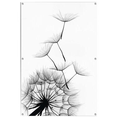 Poster de jardin Pissenlit 120x80 cm Noir - Blanc product