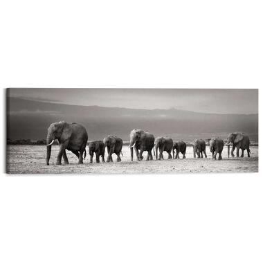 Peinture Line of Elephants 40x118 cm Noir - Blanc product