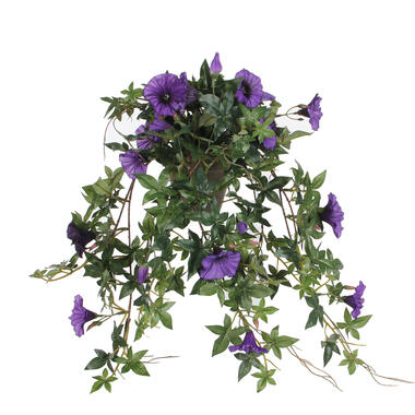 Mica Decorations Plante artificielle pétunia - H25 cm - Violet foncé product