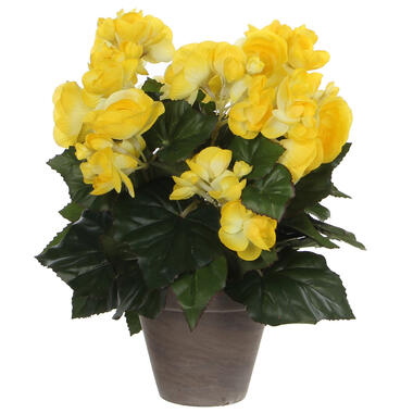 Mica Decorations Kunstplant - Begonia - geel - 30 cm - grijze pot product