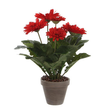 Mica Decorations Kunstplant - gerbera - rood - in pot - 35 cm product