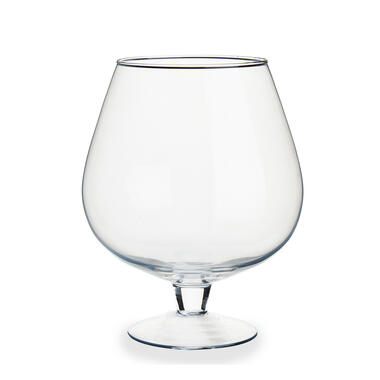 Arte r Bloemenvaas - glas - wijnglas vormig - op voet - 19 x 23 cm product
