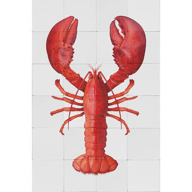 ESTAhome muursticker - kreeft - rood - 70 x 46,5 cm - 159035 product