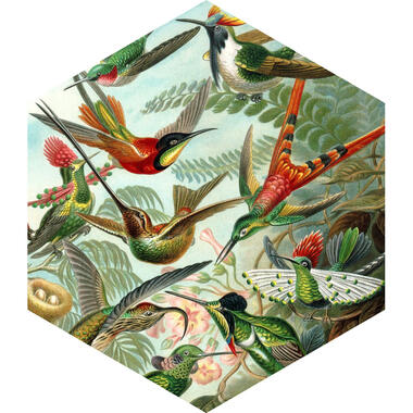 ESTAhome sticker mural - oiseaux - vert jungle tropicale - 70 x 81 cm product