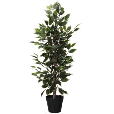 Kunstplant - ficus - groen met witte bladeren - 95 cm product