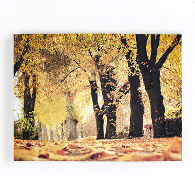 Art for the Home - Canvas - Herfst - 75x100cm product