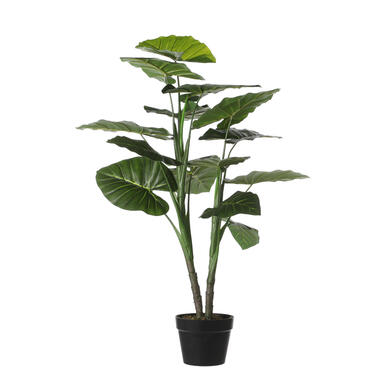 Mica Decorations Plante artificielle taro - H100 x Ø70 cm -Vert product