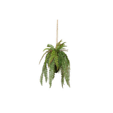 Plante artificielle verte Kwai Woood - 68cm