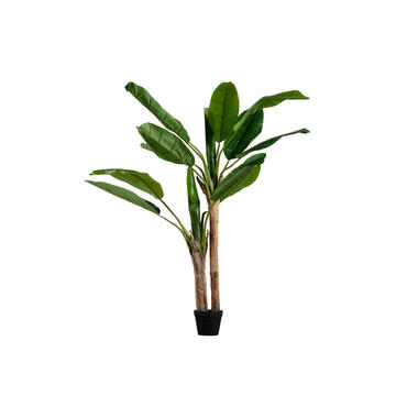 Plante Artificielle - Plastique - Vert - 138x97x95 - WOOOD - Bananier product