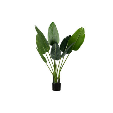 Plante Artificielle - Plastique - Vert - 108x61x50 - WOOOD - Strelitzia product