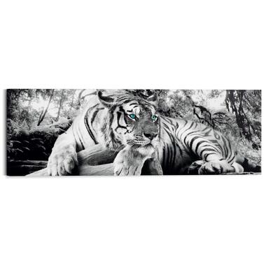 Schilderij - Liggende tijger - 40x118 cm Hout product