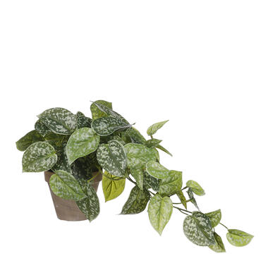 Mica Decorations Plante artificielle scindapsus - H44 cm - Vert product