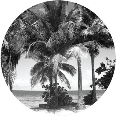 Sanders & Sanders zelfklevende behangcirkel - tropisch landschap met palmbomen product