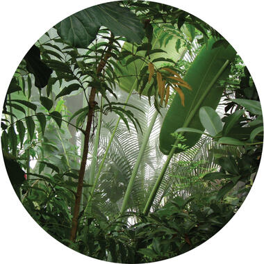 Sanders & Sanders papier peint panoramique rond adhésif - feuilles tropicales product