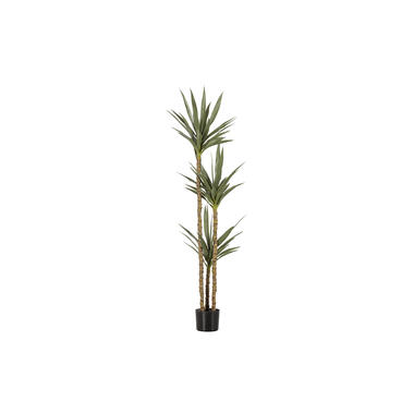 WOOOD Yucca Kunstplant - Plastic - Groen - 155x70x70 product