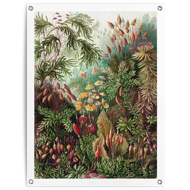 Tuinposter - Sea Flora - 80x60 cm Canvas product