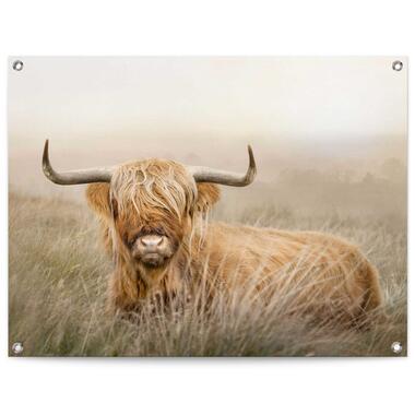 Tuinposter - Hooglander - 60x80 cm Canvas product