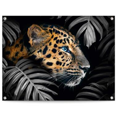 Tuinposter - Jungle luipaard - 60x80 cm Canvas product