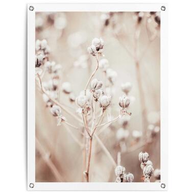 Tuinposter - Gedroogde tak - 80x60 cm Canvas product