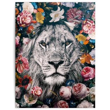 Poster de jardin Lion de la jungle 80x60 cm Multicolore product