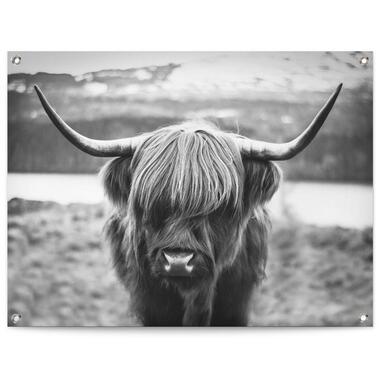 Poster de jardin Highlander écossais 60x80 cm Noir - Blanc product