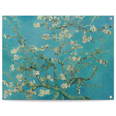 Poster de jardin Van Gogh Fleur d'amande 60x80 cm Bleu product