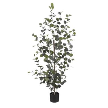 Mica Decorations Plante artificielle eucalyptus - H150 x Ø30 cm - Vert product