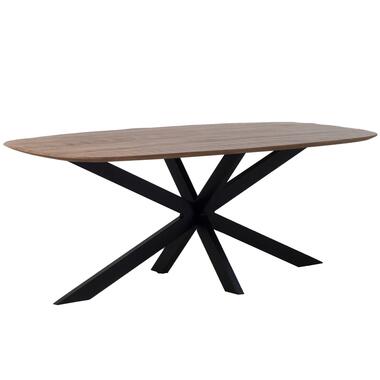 Table de salle à manger ovale Jordan - manguier brun - 240 cm product