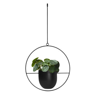QUVIO Pot de fleurs suspendu - Métal - Diamètre du pot 14 product