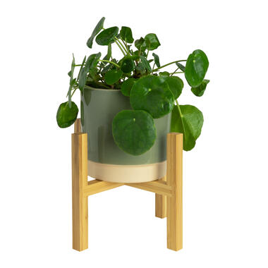 QUVIO Pot de fleurs standard - Bambou - Taille intérieure 16 product