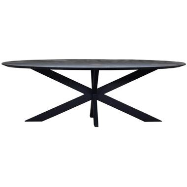 Eettafel Ovaal 160cm - Zwart Mangohout - Tafel Diamond product