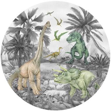 Sanders & Sanders zelfklevende behangcirkel - dinosaurussen - grijs - Ø 70 cm product