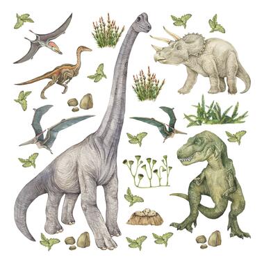 Sanders & Sanders muursticker - dinosaurussen - groen - 30 x 30 cm product