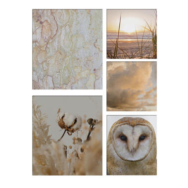 Art for the Home - Set van 5 canvas - Natuur - sepia - 80x60cm product