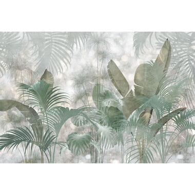 Komar fotobehangpapier - Paillettes Tropicales - vergrijsd groen - 368 x 248 cm product