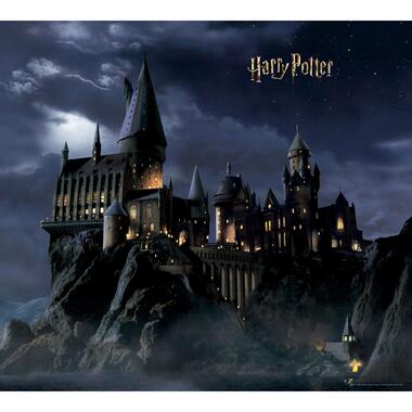 Harry Potter : Cinq papiers peints illustrant les décors de la saga