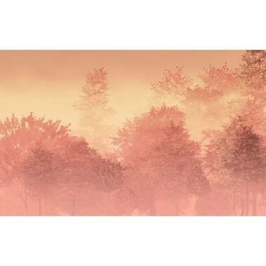 Komar fotobehang - bosrijk landschap - perzik oranje roze - 400 x 250 cm product