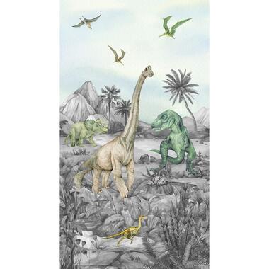 Sanders & Sanders fotobehangpapier - dinosaurussen - groen - 1,5 x 2,7 m product