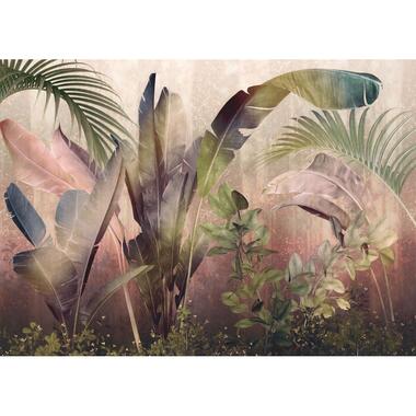 Komar fotobehangpapier - Rainforest Mist - groen en roze - 350 x 250 cm product