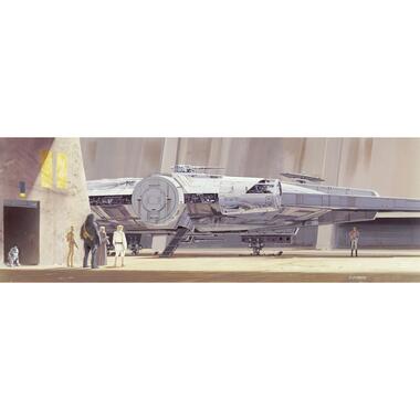 Disney fotobehang - Star Wars Millenium Falcon - grijs - 368 x 127 cm product