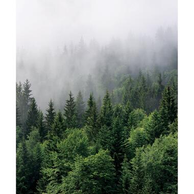 Sanders & Sanders fotobehang - berglandschap met bomen - groen - 2,25 x 2,7 m product