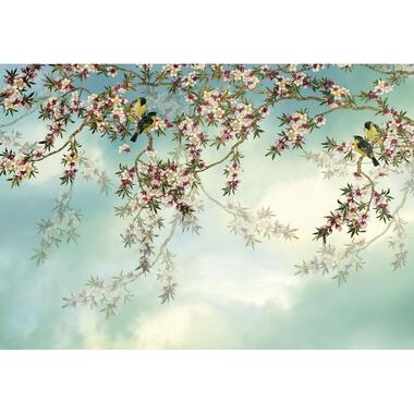 Komar fotobehang - Sakura - blauw en roze - 368 x 254 cm - 610936 product