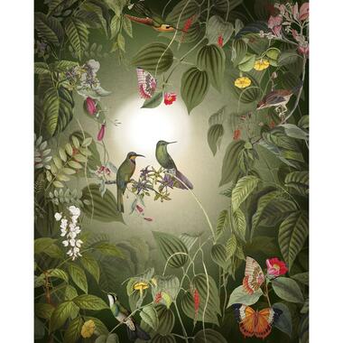 Komar fotobehangpapier - Wildlife Birds - groen - 200 x 250 cm product