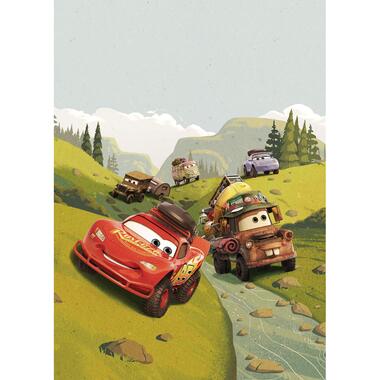 Disney fotobehang - Cars - groen - 200 x 280 cm - 610742 product