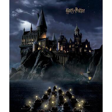 Sanders & Sanders papier peint panoramique - Harry Potter Poudlard product
