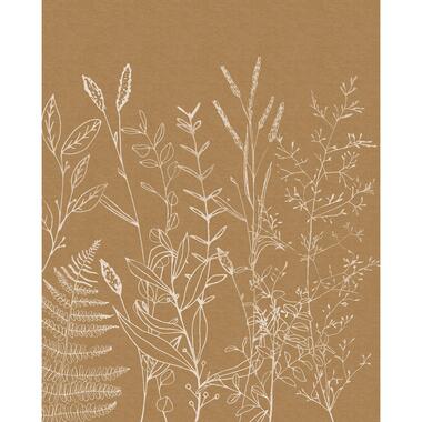 Komar fotobehang - Herbs Garden - beige - 200 x 250 cm - 611184 product